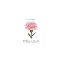 Load image into Gallery viewer, Carnation Birth Flower Sticker | Personalized Name, Botanical Watercolor