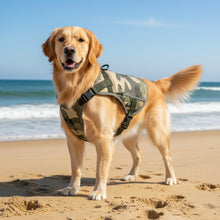 Load image into Gallery viewer, Dog Cooling Vest
