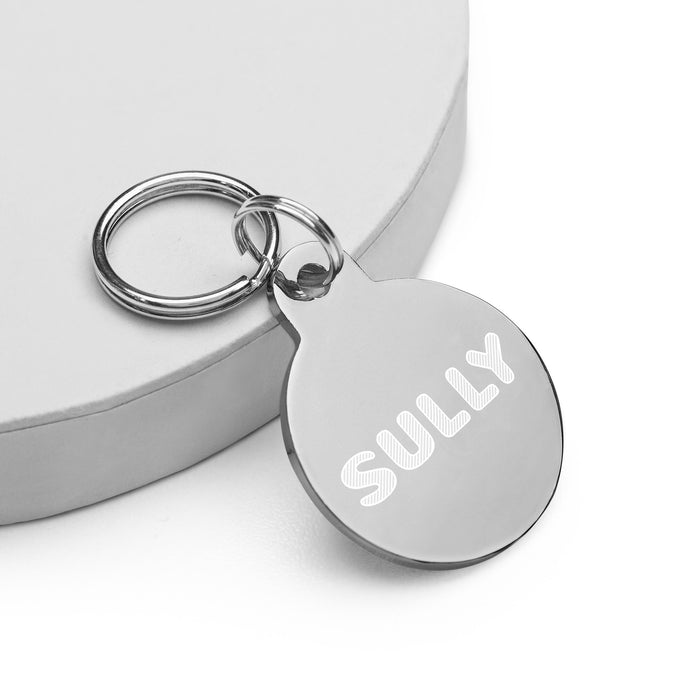 Sully Engraved Key Chain/Pet ID Tag